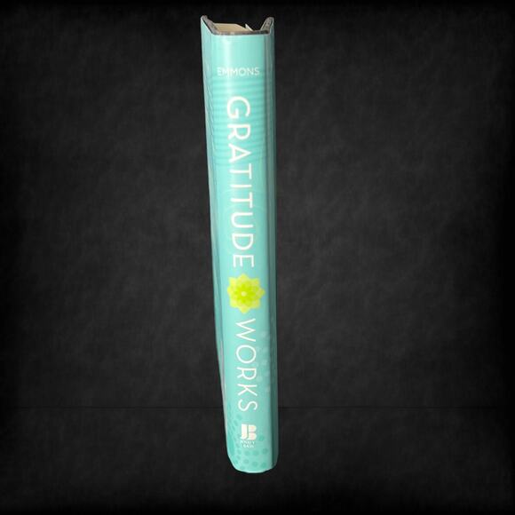 Gratitude Works!: A 21-Day Program for Creating Emotional Prosperity - Picture 3 of 8